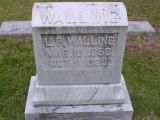 image number l_p_walling